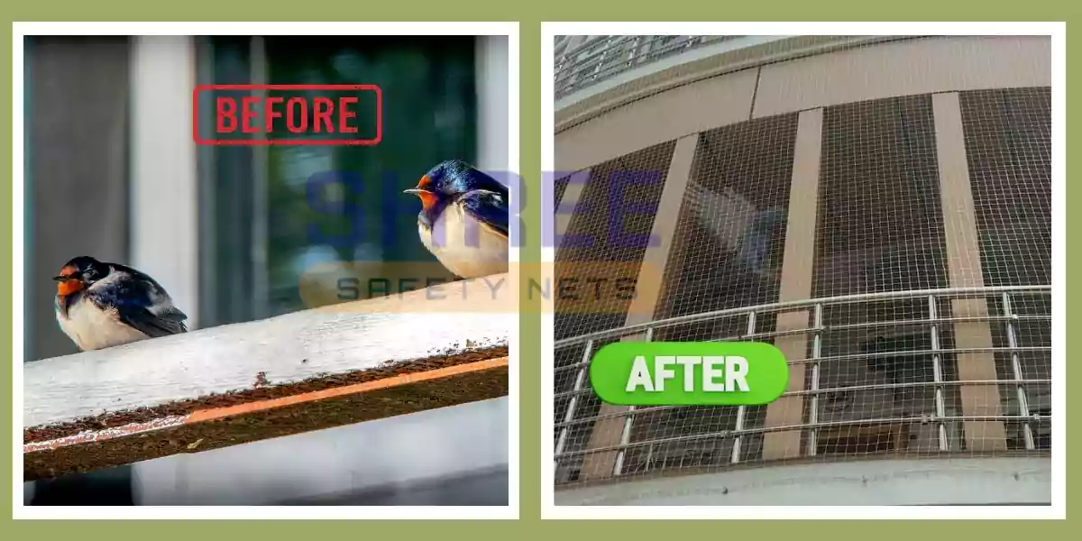 anti bird nets