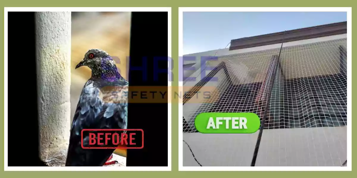 Pigeon net installation in Chennai