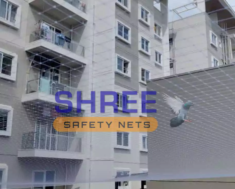 Pigeon Nets