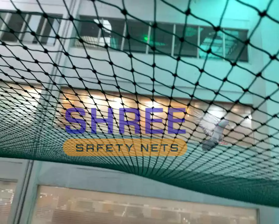 seagull Net