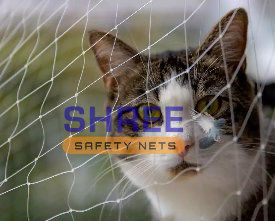 Pet Nets